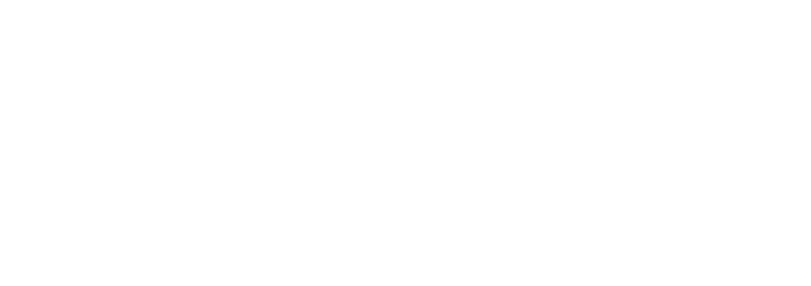 Reliable Trusted Professional