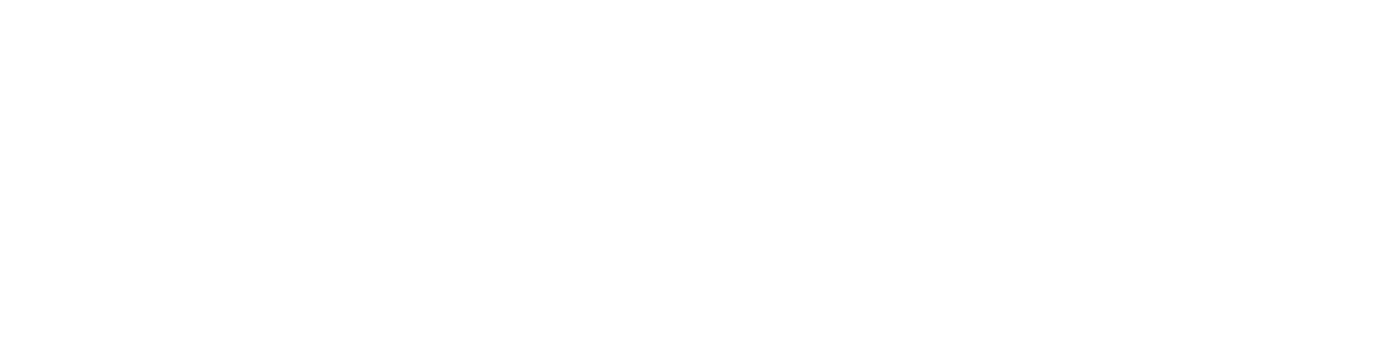 Reliable Trusted Professional